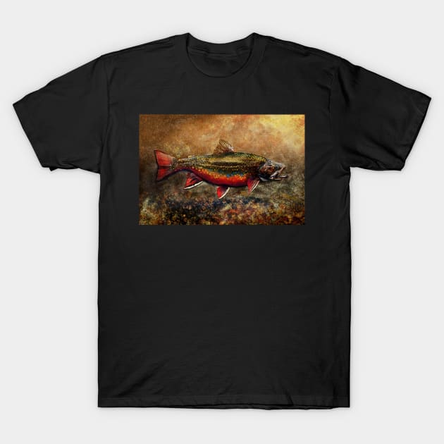 Spawning Male Brook Trout Illustration T-Shirt by fishweardesigns